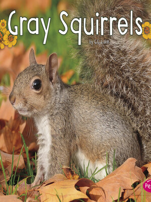 cover image of Gray Squirrels